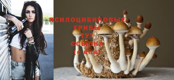 COCAINE Алексеевка